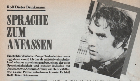 rolf dieter brinkmann